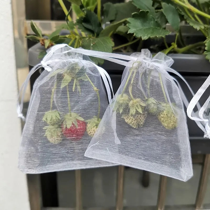 Fruit Protection Bags - mygardenmole