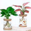 Load image into Gallery viewer, Mini Hydroponic Flower Pot - mygardenmole